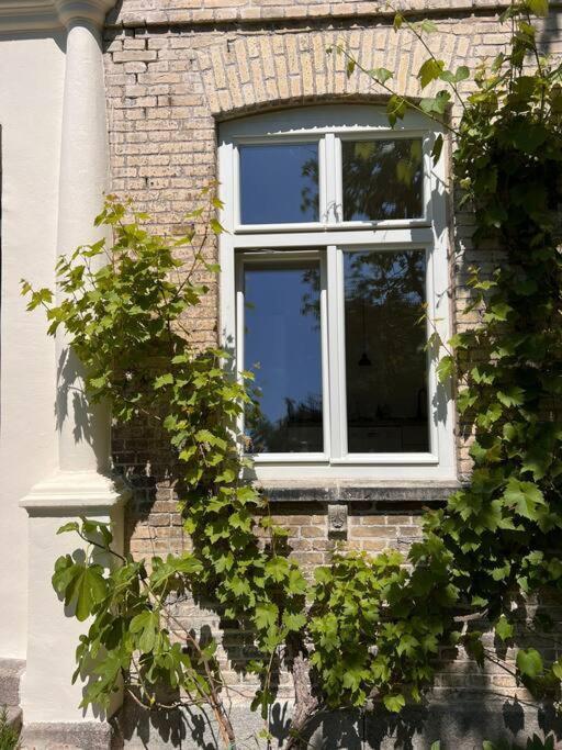 Idyllisches Appartement Nahe Ostsee Und Schlei Rabenkirchen-Faulück Exteriér fotografie